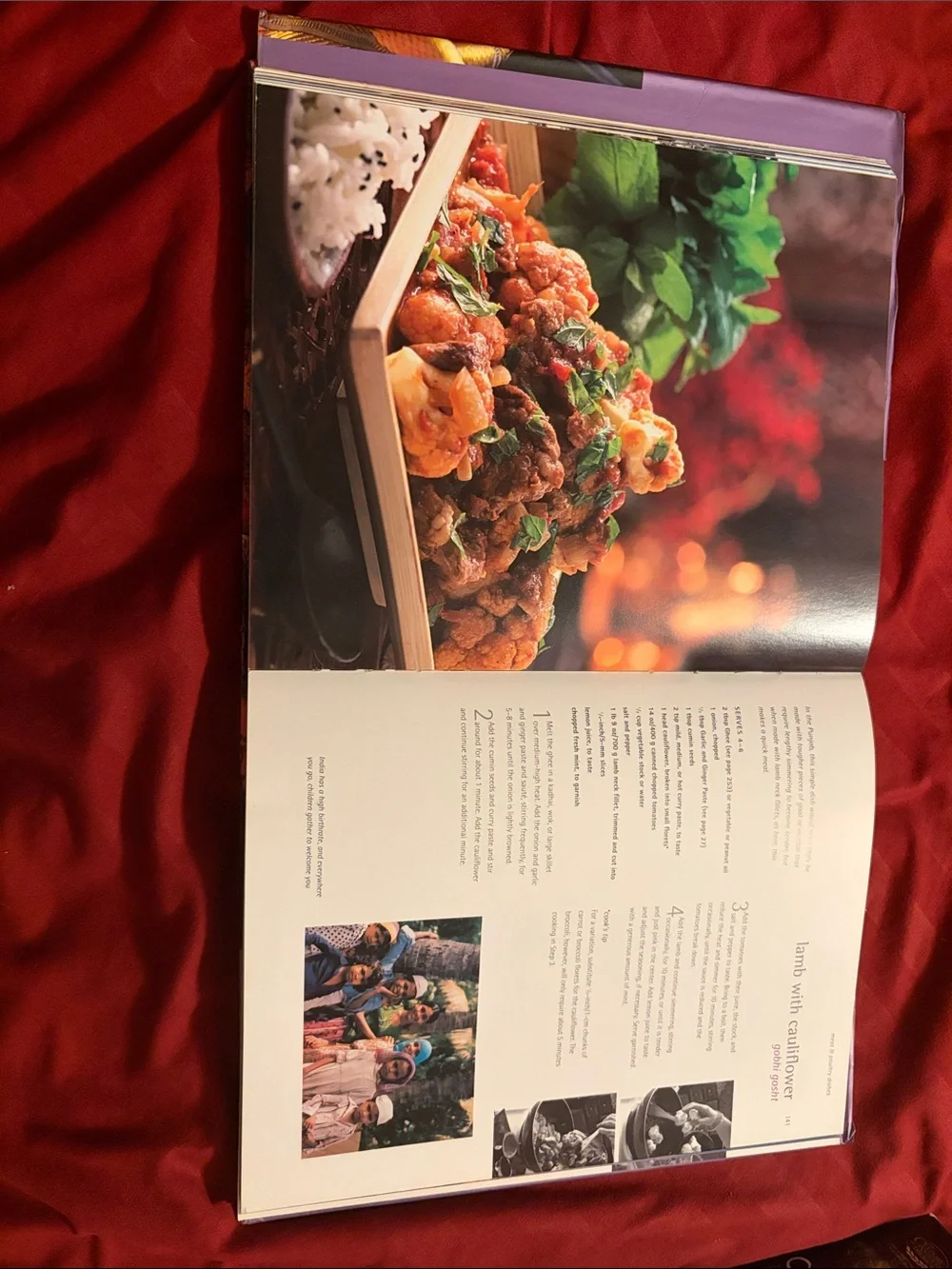 Food of the World: India Cookbook - Purple Cover with Spice Photo